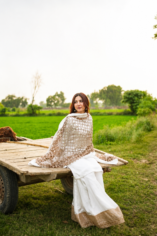 Best Selling - Haya 3 PC Dress (Eid Special)