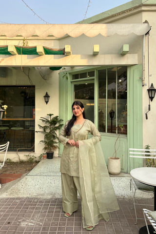 Onyx Farshi Shalwar